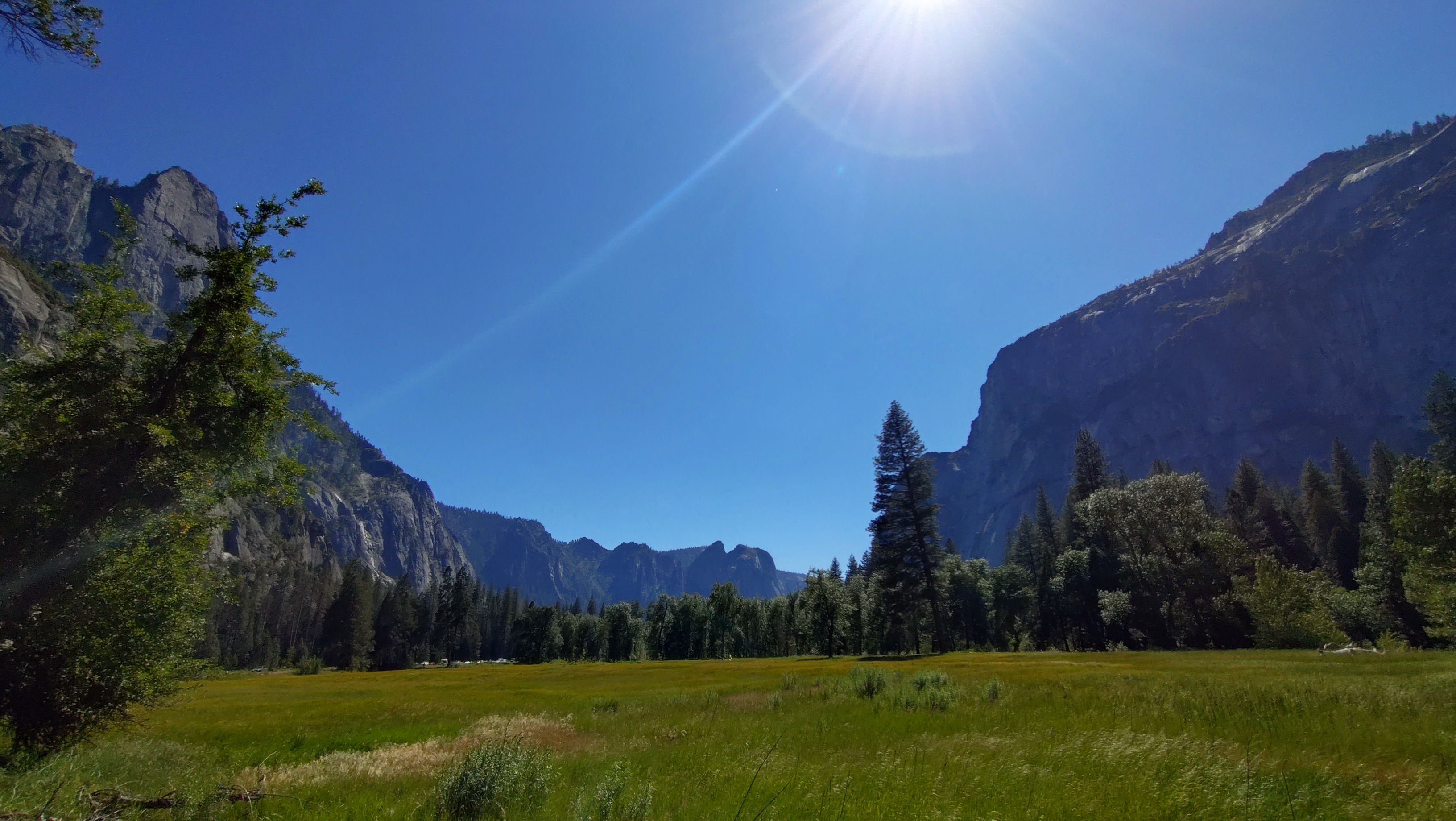 (2026-06-01) Yosemite National Park 的大草原。