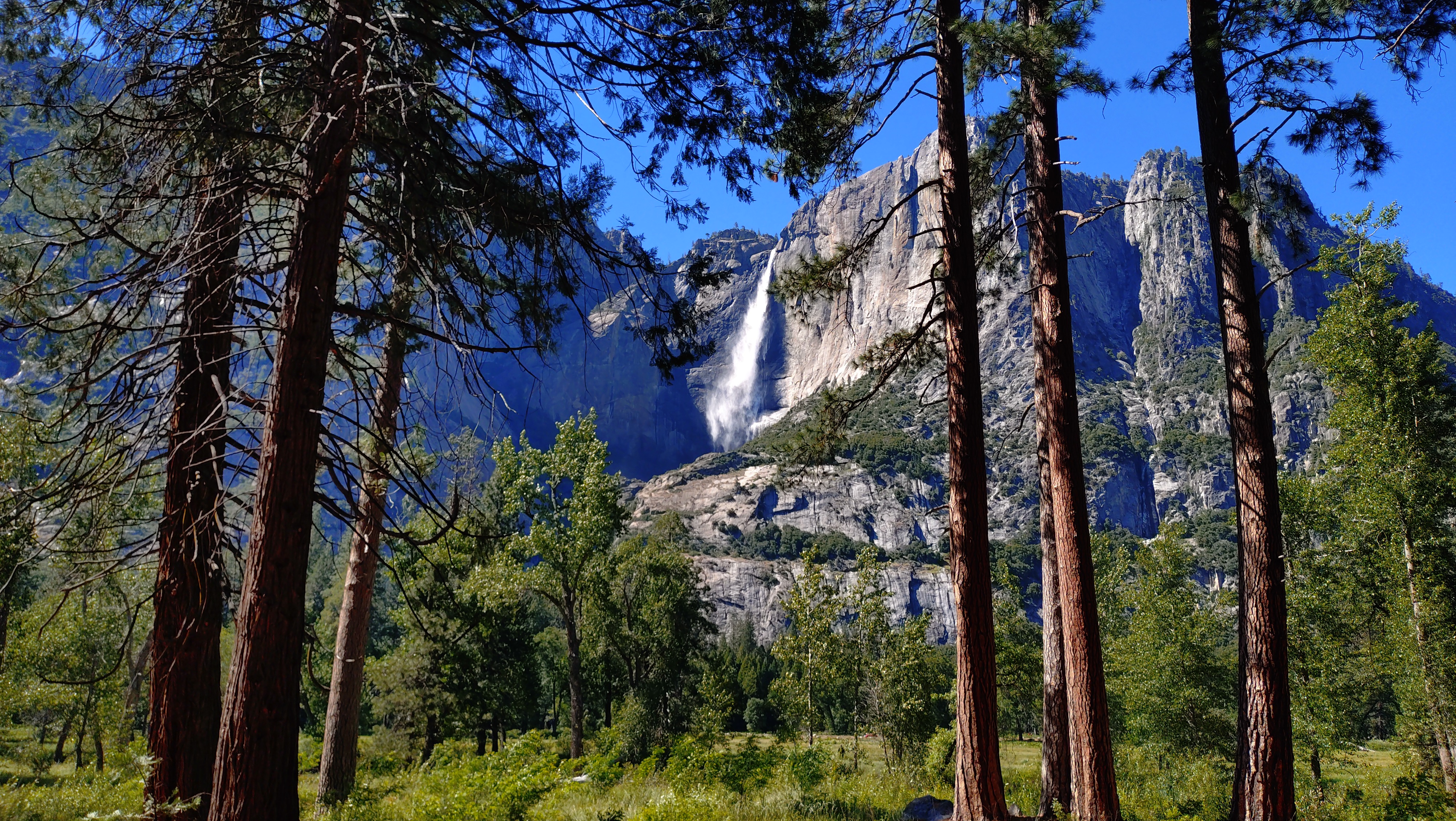 (2026-06-01) Yosemite National Park 的景色。