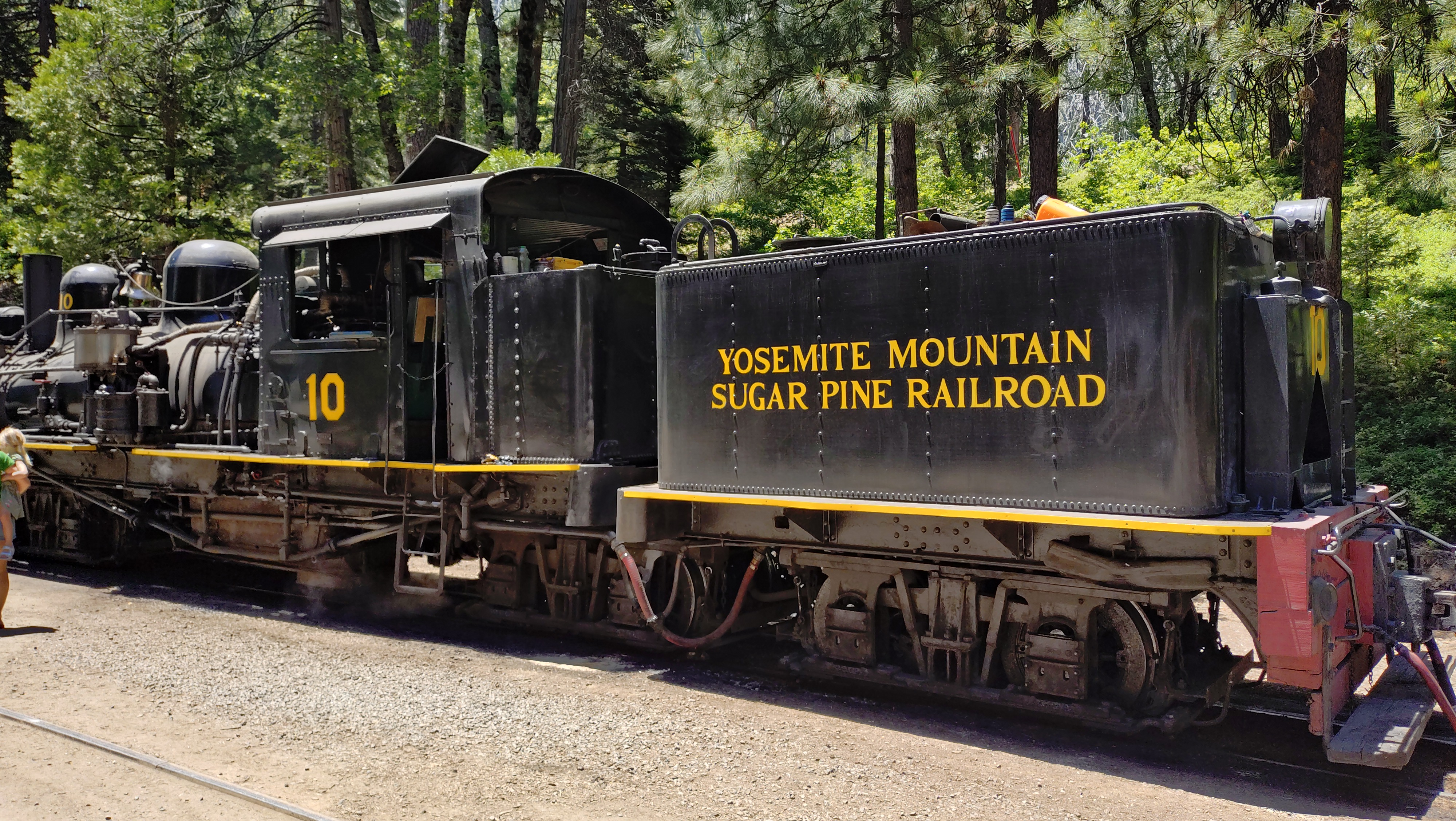 (2026-06-02) Sugar Pine Railroad 的蒸氣火車。