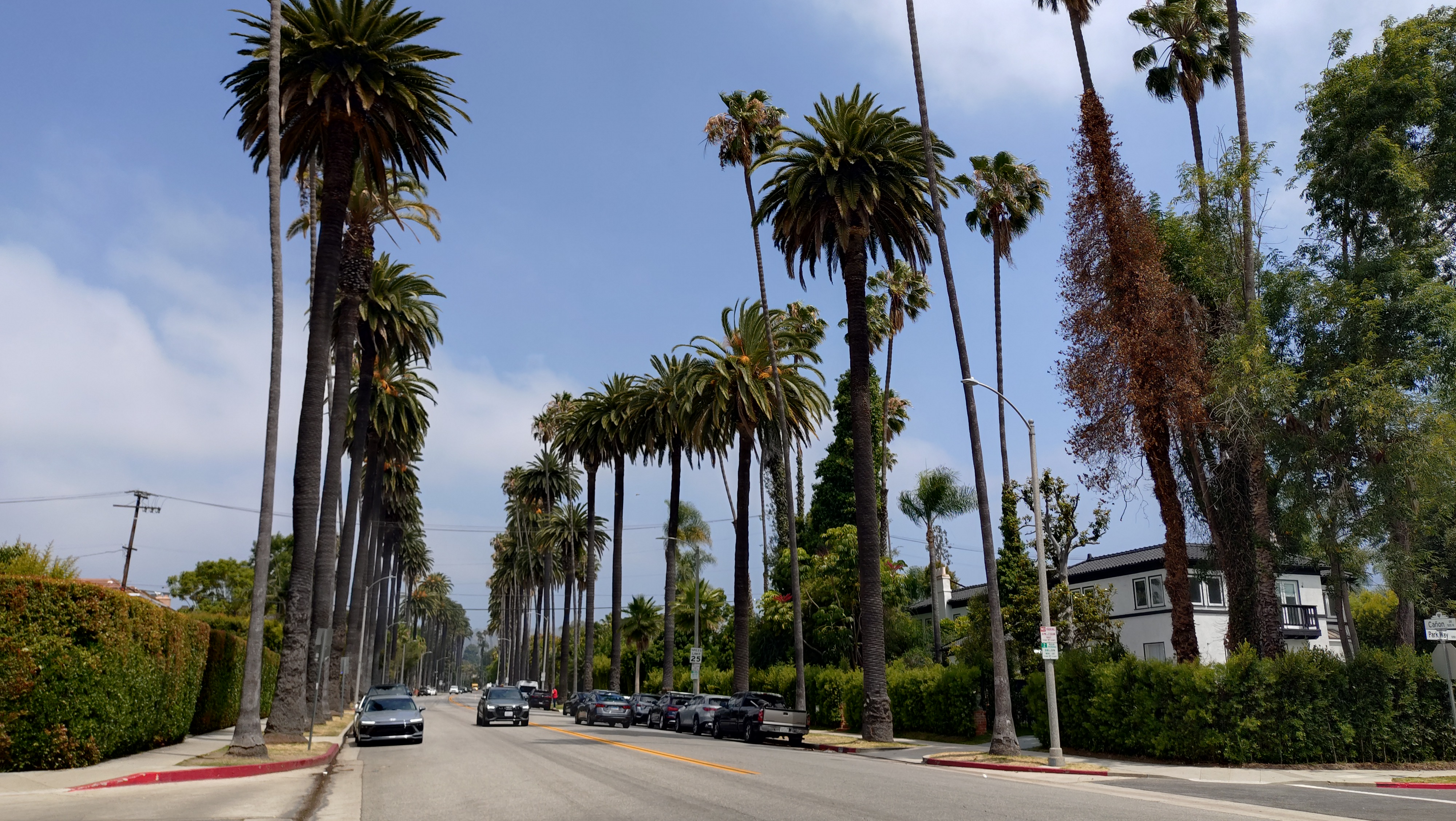 (2026-06-05) Beverly Hills 周圍的巷子，看起來很台大。