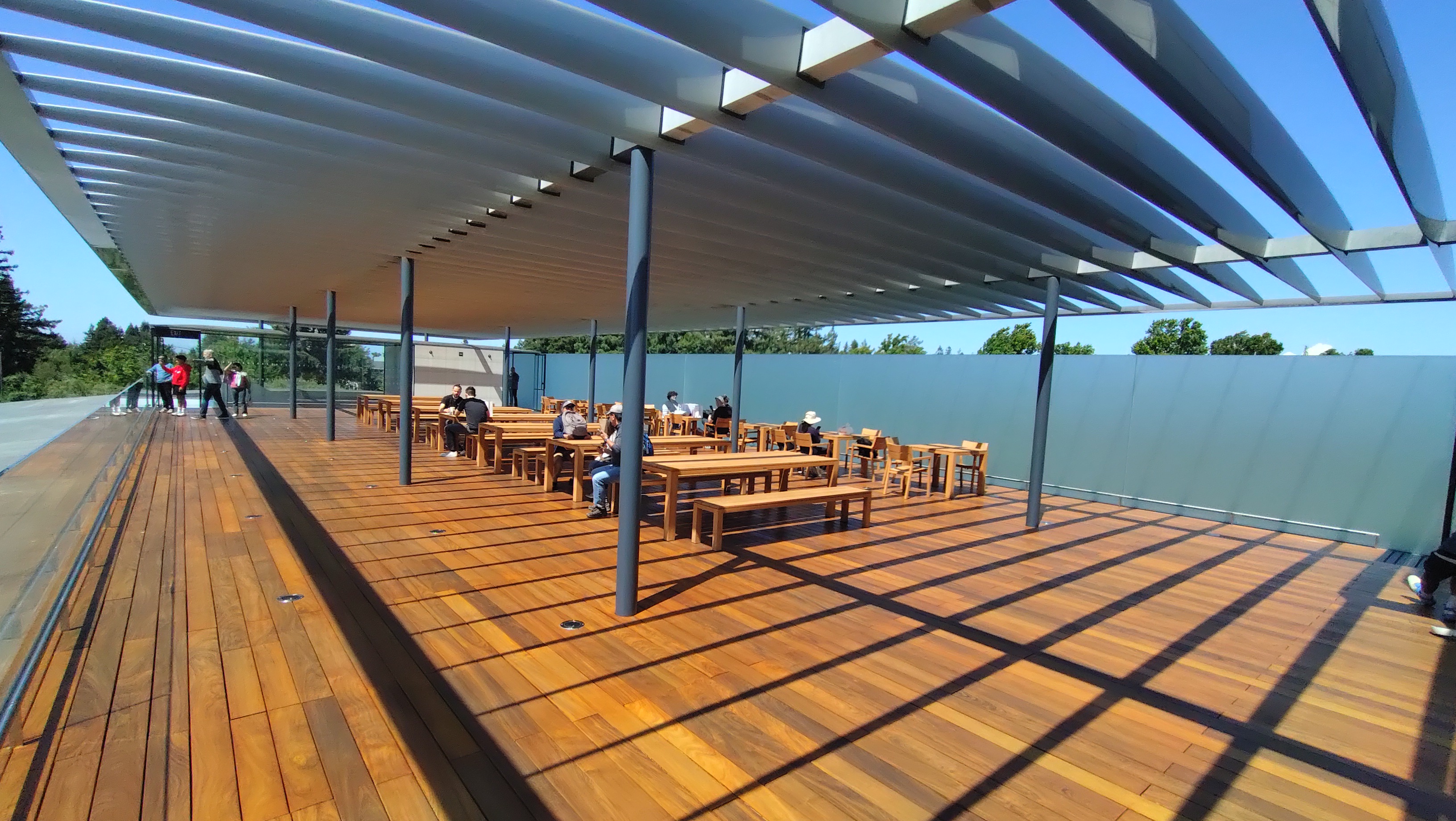 (2026-05-30) Apple Park Visitor Center 頂樓的休息區，很漂亮。