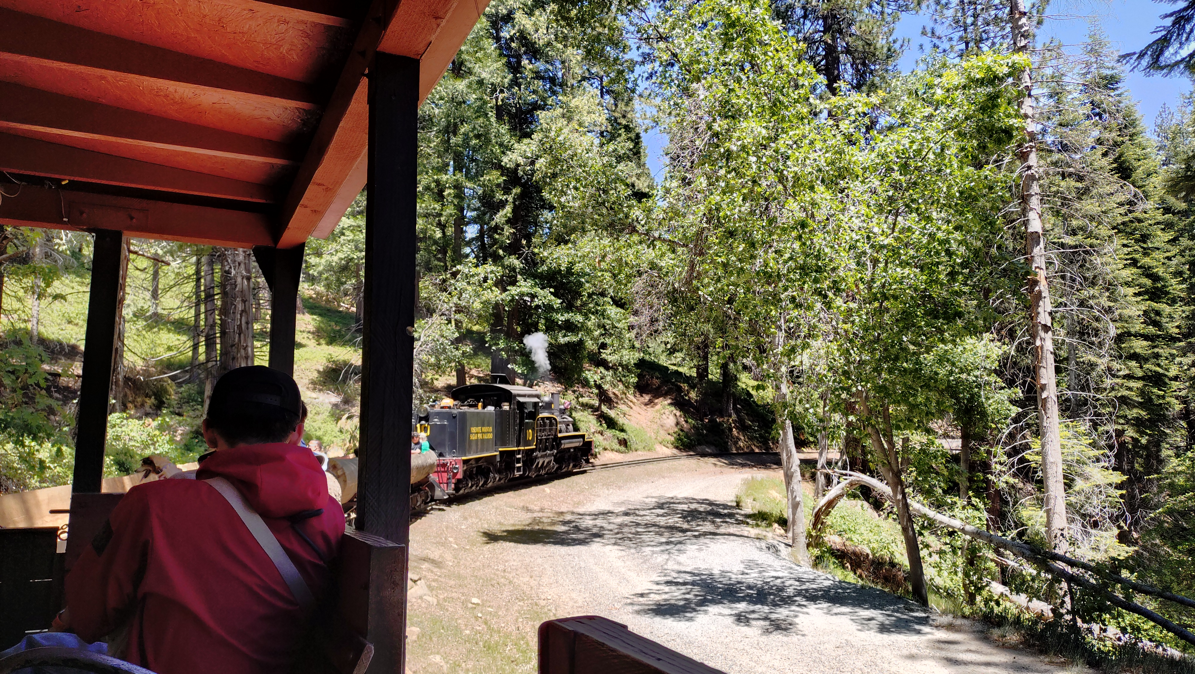 (2026-06-02) Sugar Pine Railroad 的火車上，景色一樣是藍天、綠樹、萬里無雲。